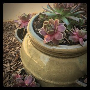 Meet your Posher, Loula